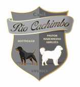 Rottweiler Pastor Maremano Abruzes - Rio Cachimbo